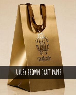 Luxury kraft paper bags