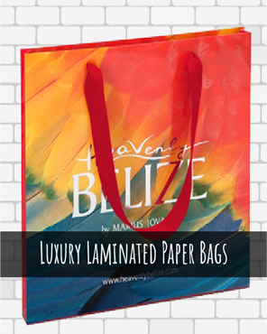 Luxury Clothing Paper Bags