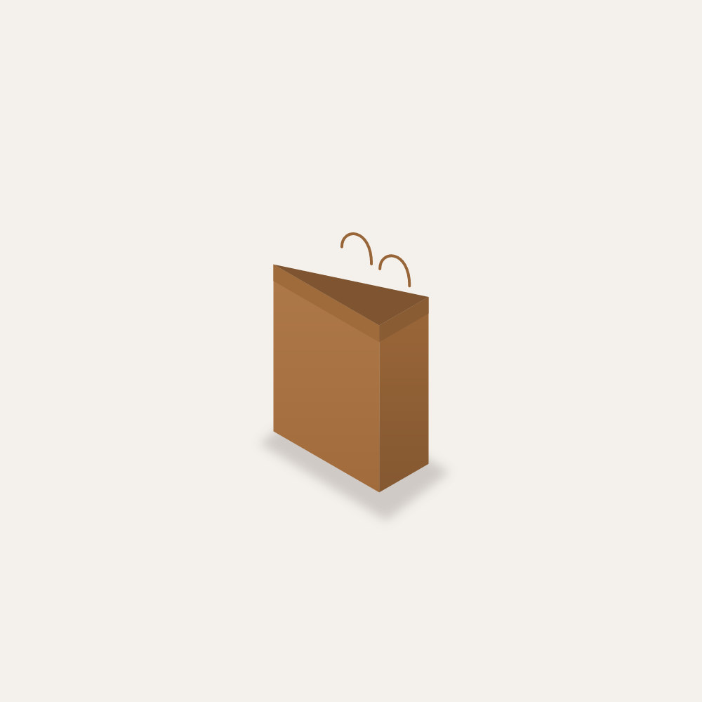 Twisted handle paper bag printed for a retail store